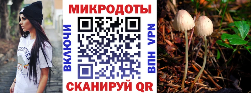 Галлюциногенные грибы мицелий  Нязепетровск 